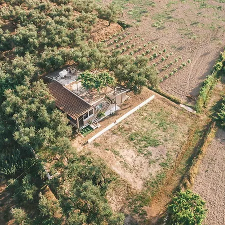Gospodarstwo wiejskie The Mills House *